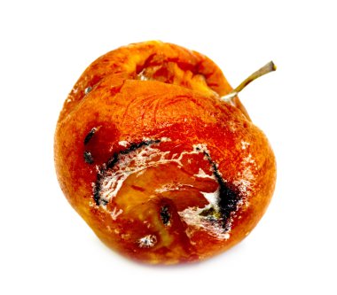 Şımarık çürük elma