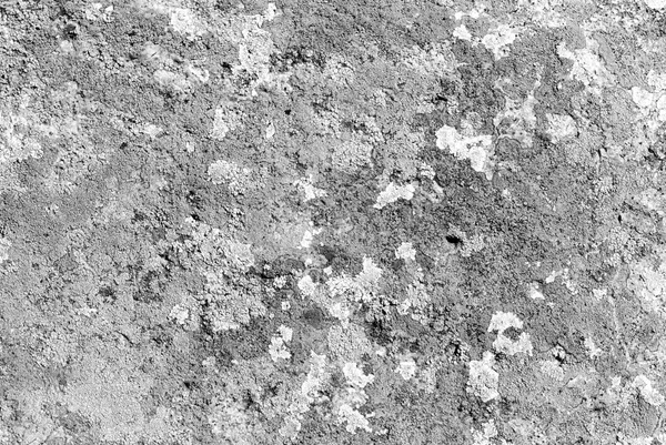 시멘트 석고 벽 — 스톡 사진