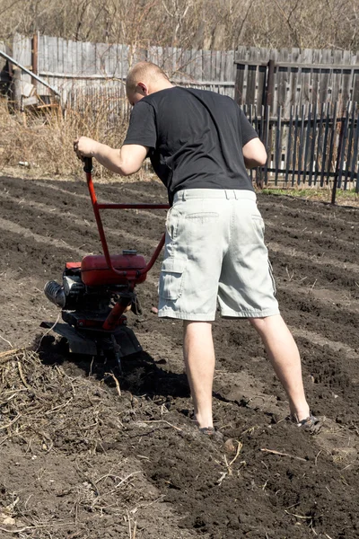 Man  working in garden — Stock Photo, Image