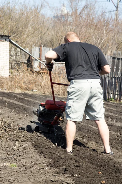 Man  working in garden — Stock Photo, Image