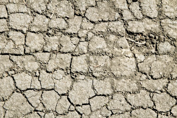 Tierra seca agrietada — Foto de Stock