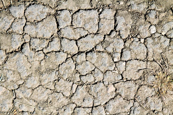 Droge gebarsten aarde — Stockfoto