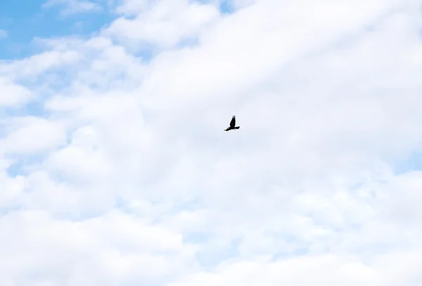 Céu azul com nuvens — Fotografia de Stock