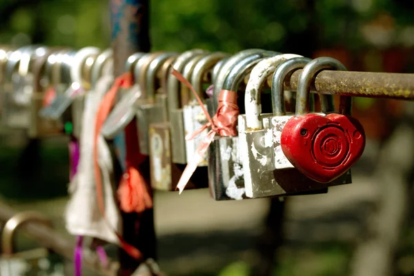 Κλειδαριές της αγάπης στο φράκτη — Φωτογραφία Αρχείου