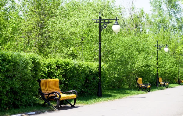 Green spring park — Stock Photo, Image