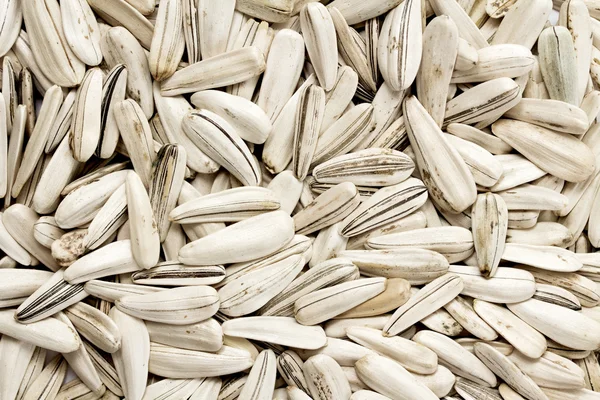 Semillas de girasol sobre blanco — Foto de Stock