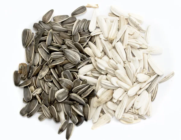 Sunflower seeds on white — Stock Photo, Image