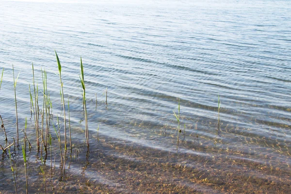 Lake water background — Stock Photo, Image