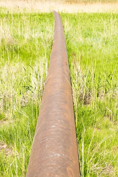 Нефтепровод через болота — стоковое фото