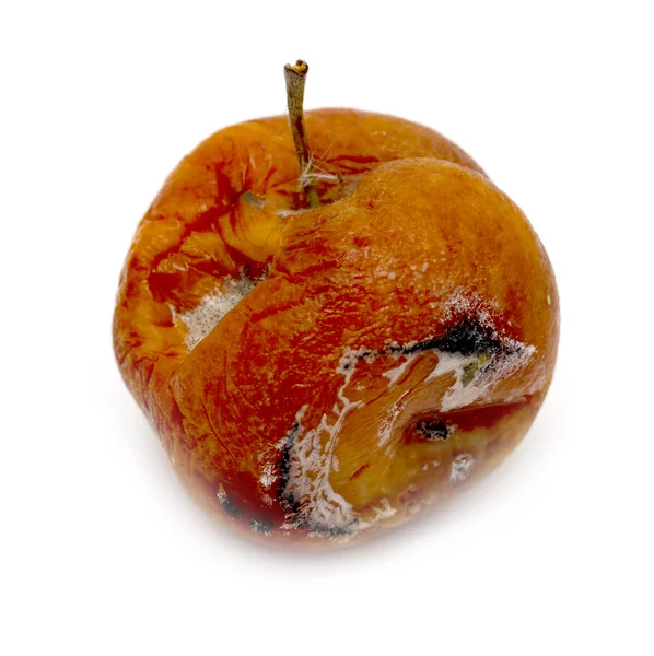 Manzana podrida estropeada — Foto de Stock