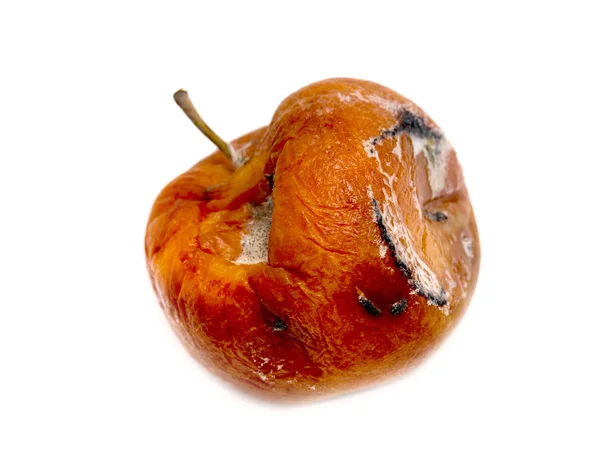 Испорченное гнилое яблоко — стоковое фото