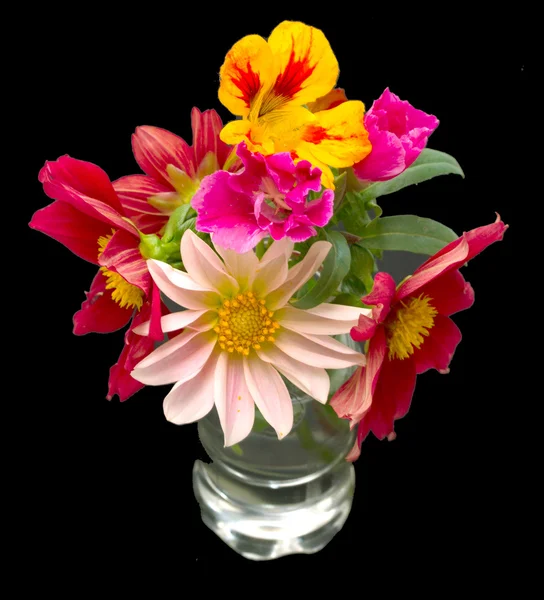 Flowers — Stock Photo, Image