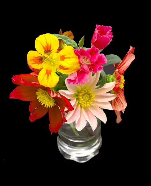 Flowers — Stock Photo, Image