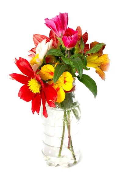 Flowers — Stock Photo, Image