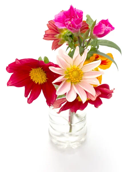 Flowers — Stock Photo, Image