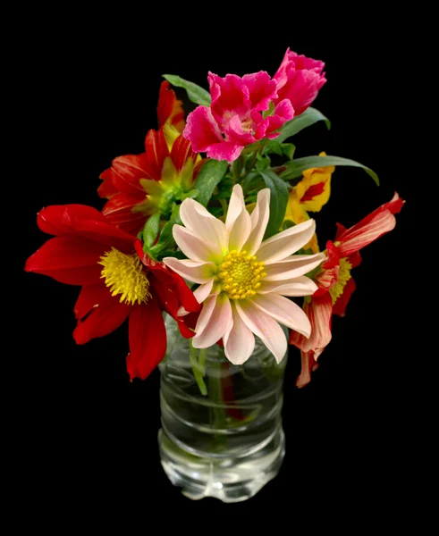 Flowers — Stock Photo, Image