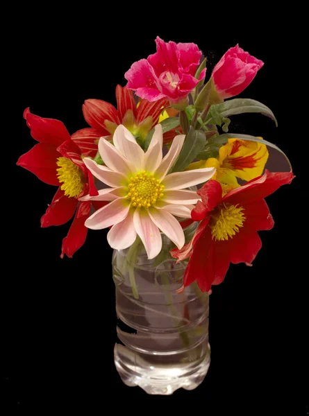 Flowers — Stock Photo, Image