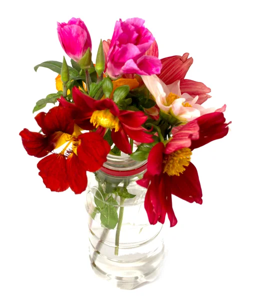 Flowers — Stock Photo, Image