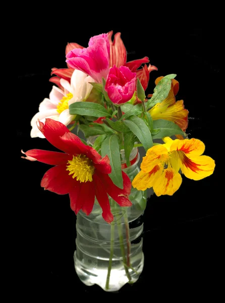 Flowers — Stock Photo, Image