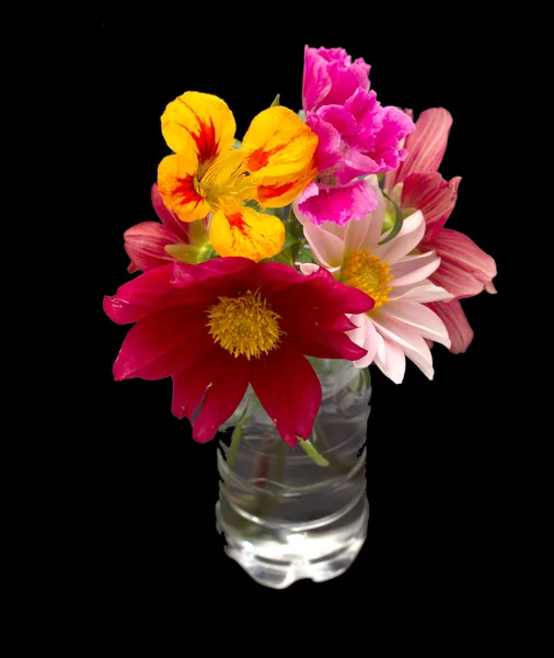 Bloemen — Stockfoto