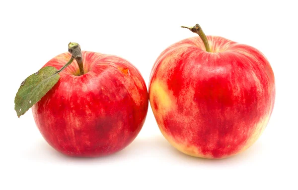 Verse appelen geïsoleerd — Stockfoto
