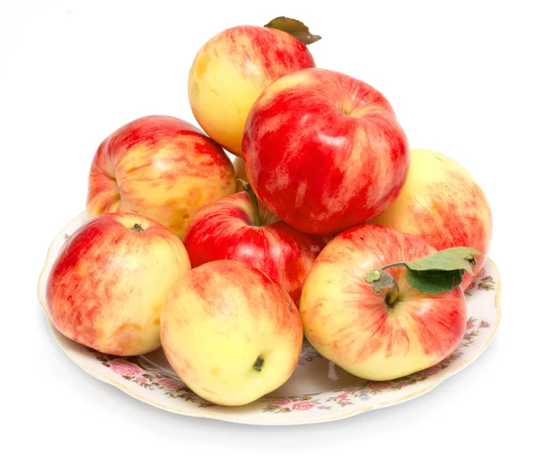 Taze elma izole — Stok fotoğraf