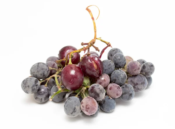 Zabrudzony winogron zbliżenie — Zdjęcie stockowe