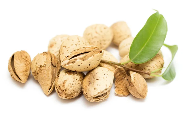 Almond fruits on a white — Stock Photo, Image