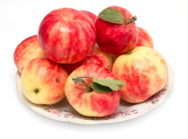 Pommes fraîches isolées — Photo