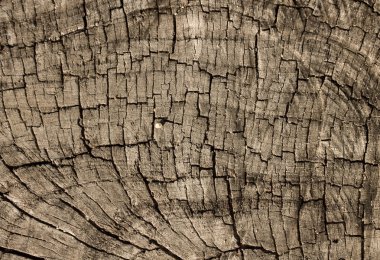 eski ahşap arka plan