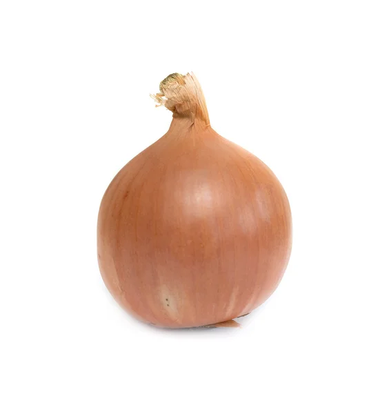 Onion isolated on  white — Stock Photo, Image