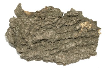 Saplama günlük kabuk ahşap doku ile