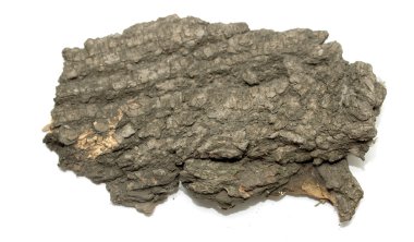 Saplama günlük kabuk ahşap doku ile