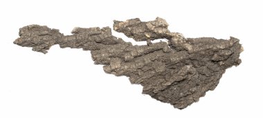 Saplama günlük kabuk ahşap doku ile