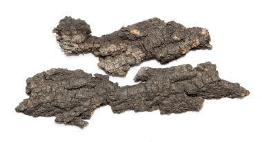 Saplama günlük kabuk ahşap doku ile