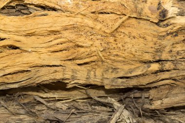 Saplama günlük kabuk ahşap doku ile