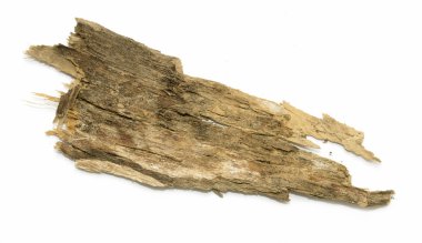 Saplama günlük kabuk ahşap doku ile