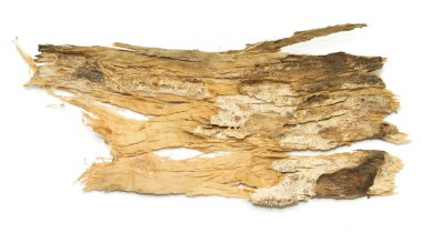 Saplama günlük kabuk ahşap doku ile