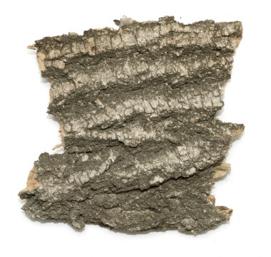 Saplama günlük kabuk ahşap doku ile