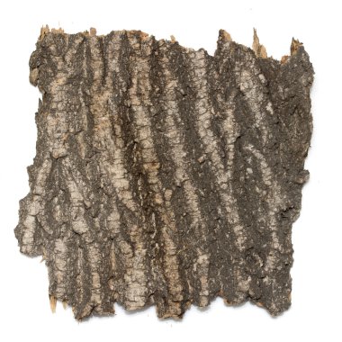 Saplama günlük kabuk ahşap doku ile