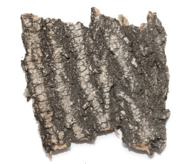 Saplama günlük kabuk ahşap doku ile