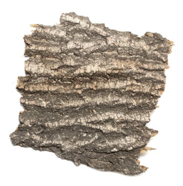 Saplama günlük kabuk ahşap doku ile