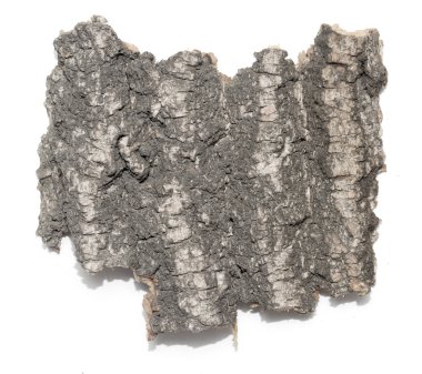 Saplama günlük kabuk ahşap doku ile