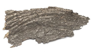 Saplama günlük kabuk ahşap doku ile