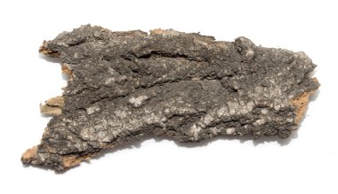 Saplama günlük kabuk ahşap doku ile