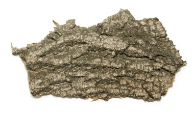 Saplama günlük kabuk ahşap doku ile