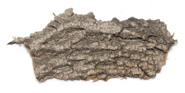 Saplama günlük kabuk ahşap doku ile