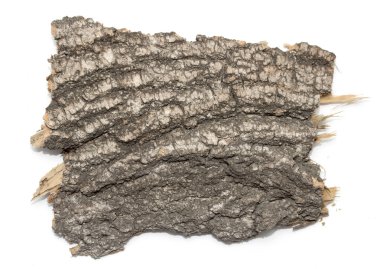 Saplama günlük kabuk ahşap doku ile