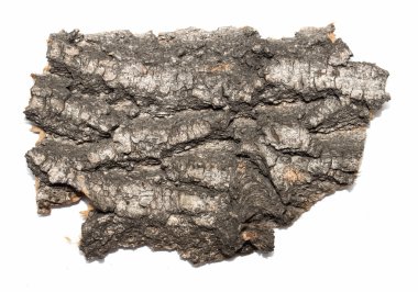 Saplama günlük kabuk ahşap doku ile