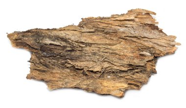 Saplama günlük kabuk ahşap doku ile